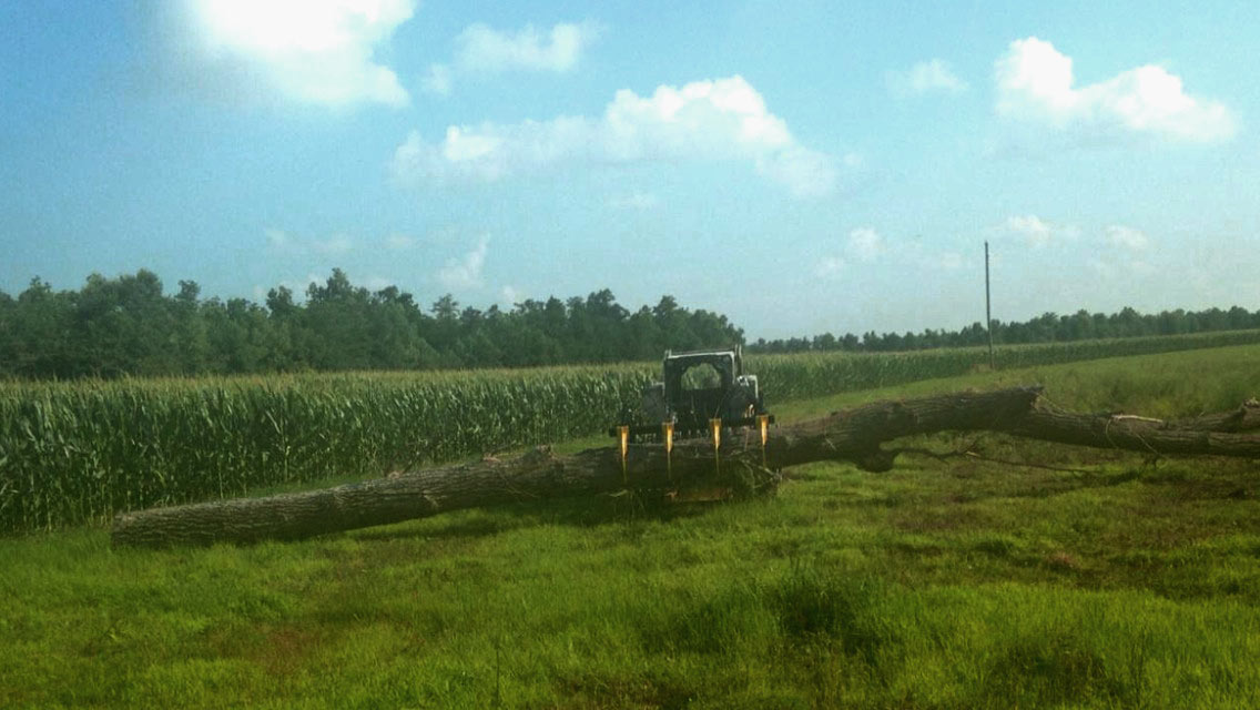 Rock Bucket John Deere carry Tree